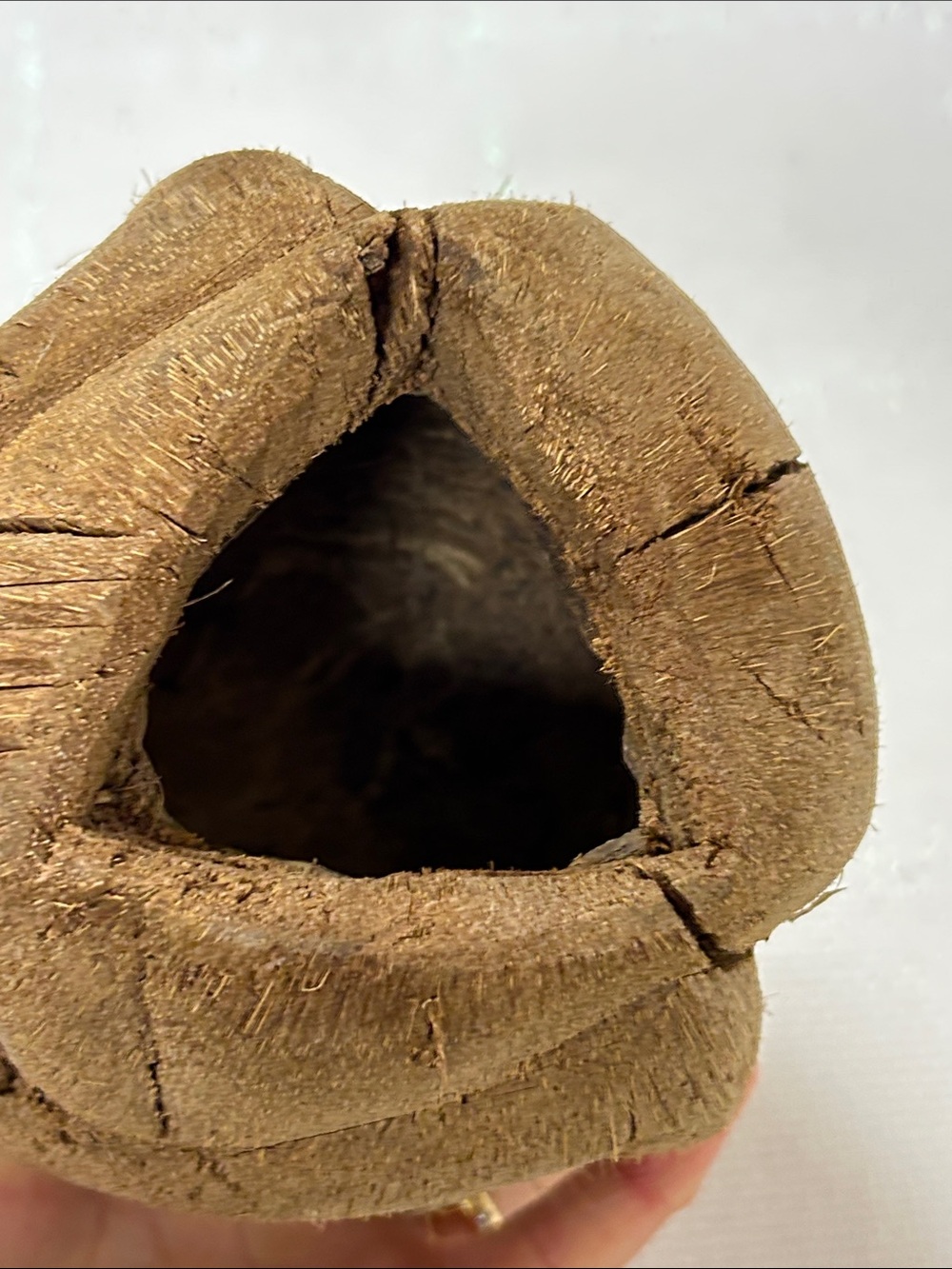 Hand-Carved Coconut Monkey Figurine with Glass Eyes image 3